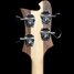 Rickenbacker 4003/4 S, Natural Walnut: Headstock - Rear