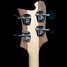 Rickenbacker 4003/4 S, Natural Walnut: Headstock - Rear