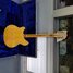 Rickenbacker 360/12 Mod, Mapleglo: Full Instrument - Rear