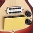 Rickenbacker 5002/8 V58, Fireglo: Close up - Free