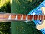 Rickenbacker 620/6 , Mapleglo: Neck - Front