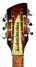 Rickenbacker 660/12 , MonteBrown: Headstock