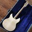 Rickenbacker 330/6 BT, Mapleglo: Full Instrument - Rear