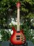 Rickenbacker 650/6 Colorado, Fireglo: Full Instrument - Front