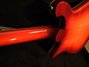 Rickenbacker 660/12 TP, Fireglo: Full Instrument - Rear