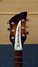 Rickenbacker 330/6 , MonteBrown: Headstock