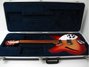 Rickenbacker 330/6 , Fireglo: Free image2