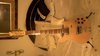 Rickenbacker 660/12 , Mapleglo: Full Instrument - Front