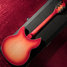 Rickenbacker 1993/12 Plus, Fireglo: Full Instrument - Rear