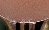 Rickenbacker Ace/6 LapSteel, Copper: Close up - Free