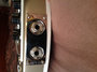 Rickenbacker 360/12 , Desert Gold: Close up - Free