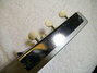 Rickenbacker 100/6 LapSteel, Gray: Headstock - Rear