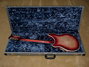 Rickenbacker 360/12 CW, Fireglo: Full Instrument - Rear