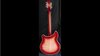 Rickenbacker 360/12 CW, Fireglo: Full Instrument - Rear