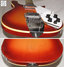 Rickenbacker 625/6 Mod, Fireglo: Close up - Free2