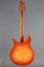 Rickenbacker 330/6 Capri, Fireglo: Full Instrument - Rear