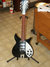 Rickenbacker 325/12 V63, Jetglo: Full Instrument - Front