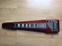 Rickenbacker 100/6 LapSteel, Burgundy: Full Instrument - Front