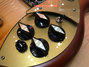 Rickenbacker 370/6 Limited Edition, Autumnglo: Free image