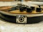 Rickenbacker 660/6 75th Ann, DCMetallic: Close up - Free