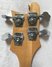 Rickenbacker 4003/4 , Mapleglo: Headstock - Rear