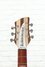 Rickenbacker 330/6 , Mapleglo: Headstock