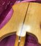 Rickenbacker 4001/4 , Mapleglo: Body - Rear