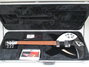 Rickenbacker 330/6 , Jetglo: Full Instrument - Front