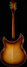 Rickenbacker 381/12 V69, Walnut Burst: Full Instrument - Rear
