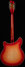 Rickenbacker 360/12 , Fireglo: Full Instrument - Rear