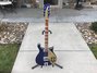 Rickenbacker 660/6 , Midnightblue: Full Instrument - Front