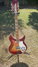 Rickenbacker 381/12 V69, Fireglo: Full Instrument - Front