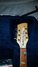 Rickenbacker 620/12 , Mapleglo: Headstock