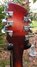 Rickenbacker 660/12 , Fireglo: Headstock - Rear