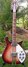 Rickenbacker 660/12 , Fireglo: Full Instrument - Front