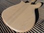 Rickenbacker 650/6 Colorado, Mapleglo: Free image