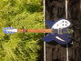 Rickenbacker 330/12 , Midnightblue: Full Instrument - Front