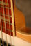 Rickenbacker 4003/4 , Mapleglo: Close up - Free