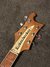 Rickenbacker 481/6 , Autumn Gold: Headstock