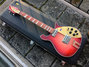 Rickenbacker 660/6 , Fireglo: Full Instrument - Front