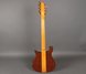 Rickenbacker 650/6 Excalibur, Vermillion: Full Instrument - Rear