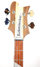 Rickenbacker 4003/4 , Mapleglo: Headstock