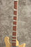 Rickenbacker 620/6 , Mapleglo: Neck - Front