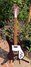 Rickenbacker 480/6 , Burgundy: Full Instrument - Front