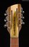 Rickenbacker 660/12 , Mapleglo: Headstock