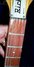 Rickenbacker 450/12 , Mapleglo: Neck - Front