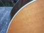 Rickenbacker 700/12 Shasta, Mapleglo: Free image