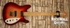Rickenbacker 260/6 El Dorado v 2, Fireglo: Full Instrument - Front