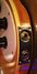 Rickenbacker 4001/4 , Mapleglo: Close up - Free