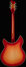 Rickenbacker 360/12 C63, Fireglo: Full Instrument - Rear